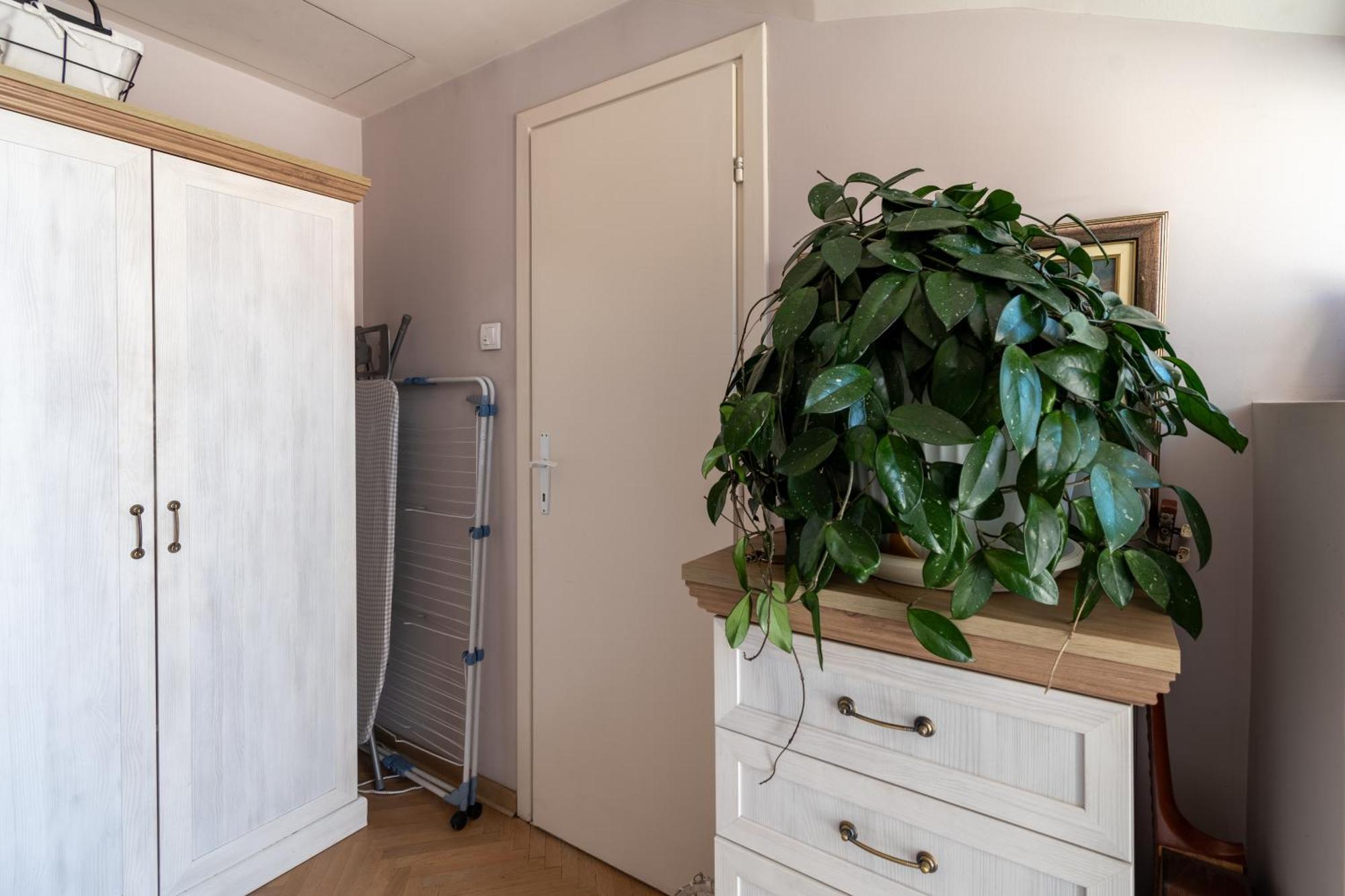 Apartment Klara Vracar 90 M2, Dve I Po Spavace Sobe Belgrade